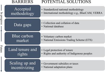 Enabling coastal blue carbon in Aotearoa New Zealand: opportunities and challenges